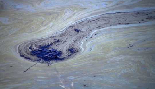 In photos: California oil spill kills fish and damages wetlands