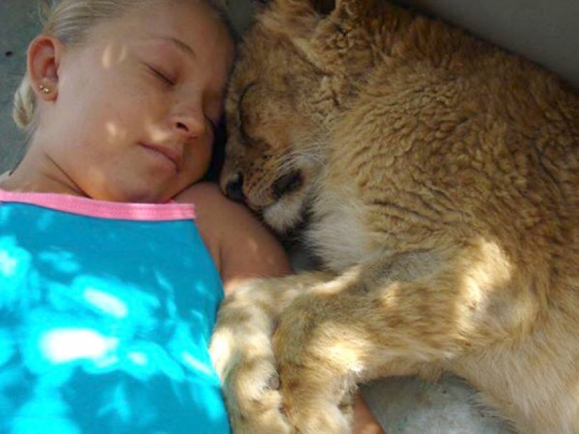 In the arms of cheetahs: this girl lives in the wild and considers predators friends