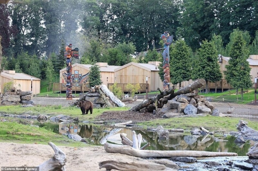 In the Belgian zoo opened rooms with views of wild animals