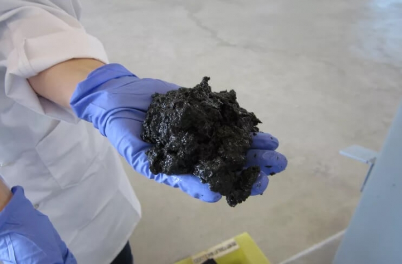 In the United States created the biofuel from human feces. Will it be popular?
