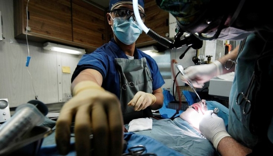 In the USA, surgeons removed a tooth that grew in a man's nose