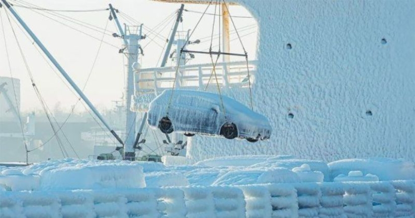 "Japanese in glaze": an unusual batch of cars was unloaded in the port of Vladivostok