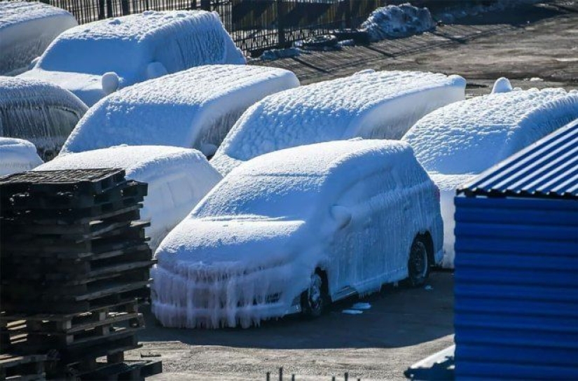 "Japanese in glaze": an unusual batch of cars was unloaded in the port of Vladivostok