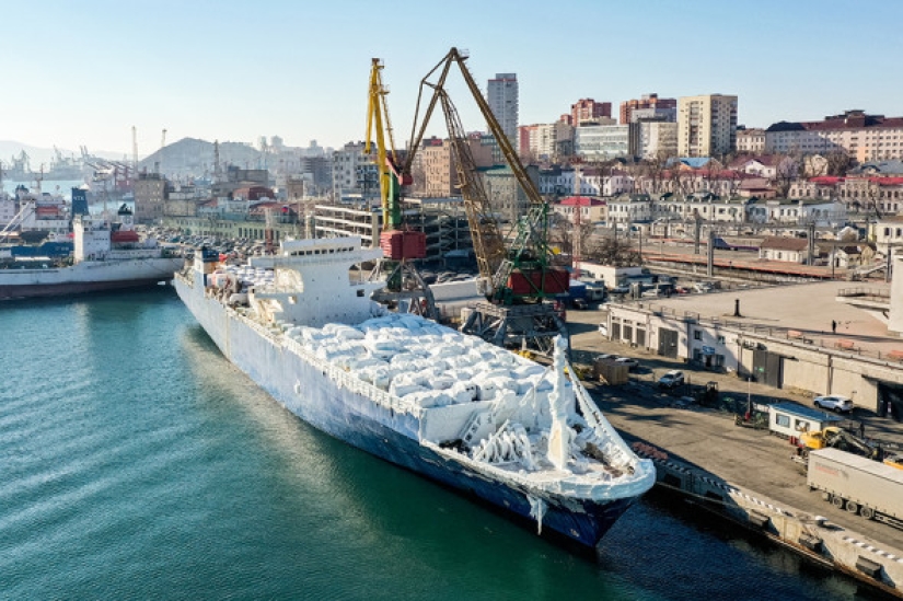 "Japanese in glaze": an unusual batch of cars was unloaded in the port of Vladivostok