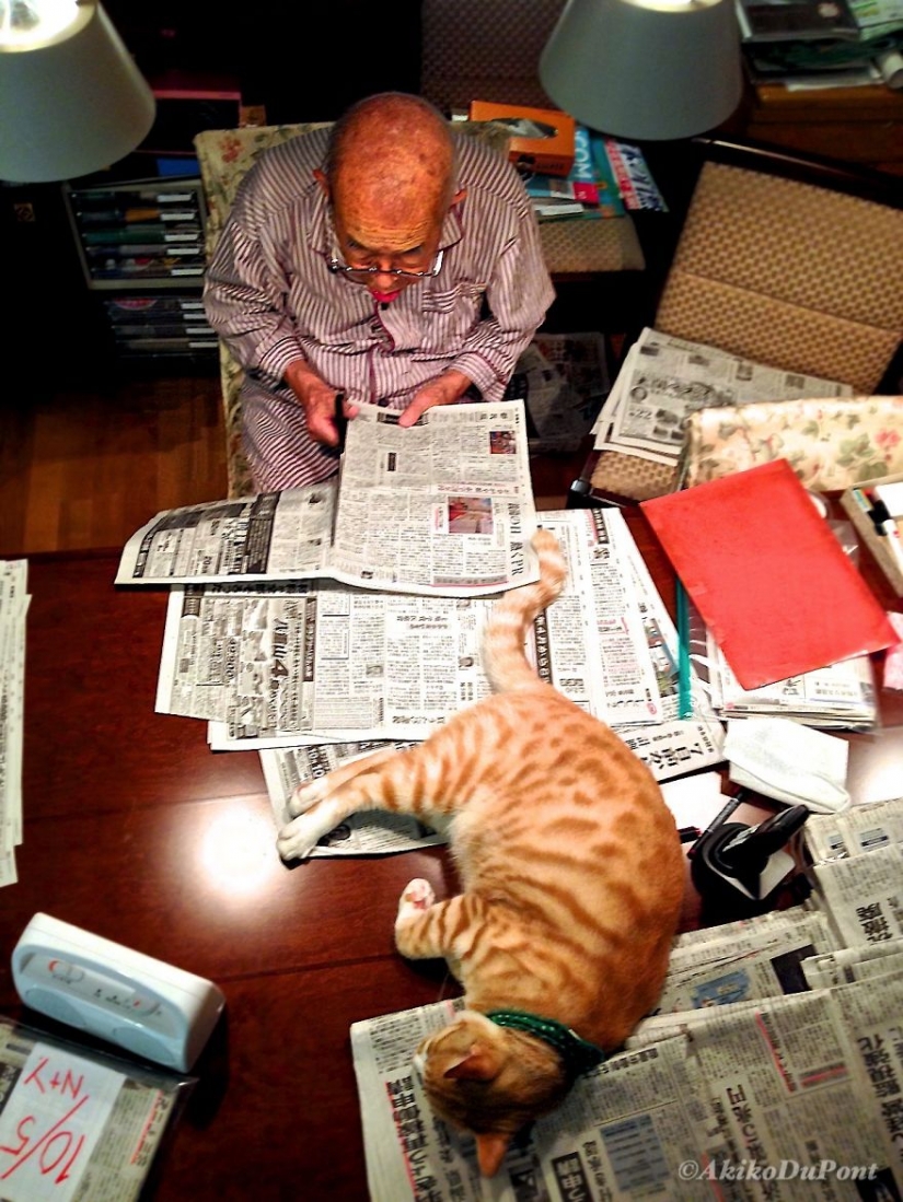 Japanese woman brought her grandfather back to life by giving him a kitten