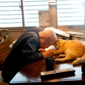 Japanese woman brought her grandfather back to life by giving him a kitten