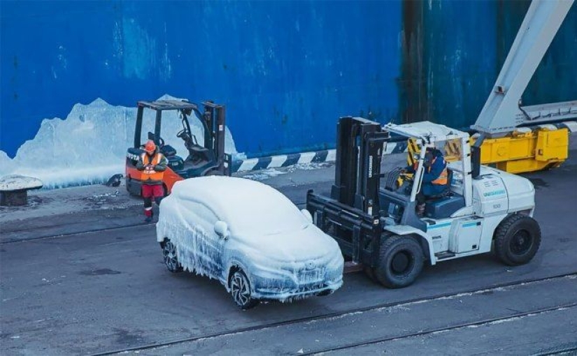"Japonés en esmalte": un lote inusual de automóviles fue descargado en el puerto de Vladivostok