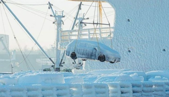 "Japonés en esmalte": un lote inusual de automóviles fue descargado en el puerto de Vladivostok
