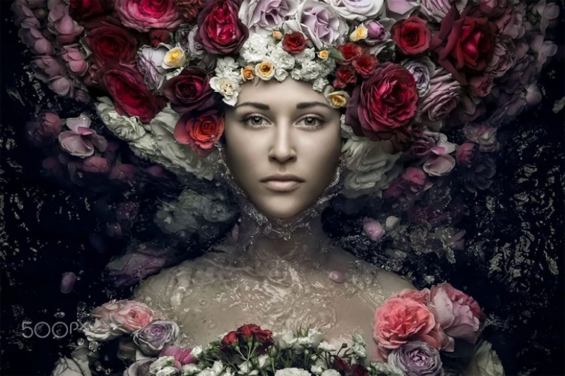 Jardín de belleza: conceptual de la flor retratos Evgeny Kolesnik