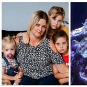 Killer Coral: Mother of four nearly died of poisoning after cleaning aquarium