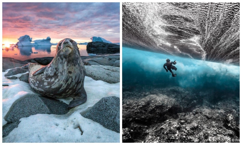 La belleza y el poder del océano en las fotos de los ganadores de los Premios Ocean Photography 2020