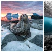 La belleza y el poder del océano en las fotos de los ganadores de los Premios Ocean Photography 2020