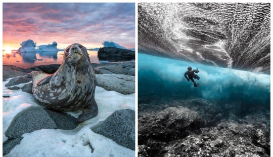 La belleza y el poder del océano en las fotos de los ganadores de los Premios Ocean Photography 2020