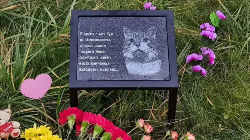 La historia de Kuzi, el gato torturado por los knackers, a quien se erigió un monumento