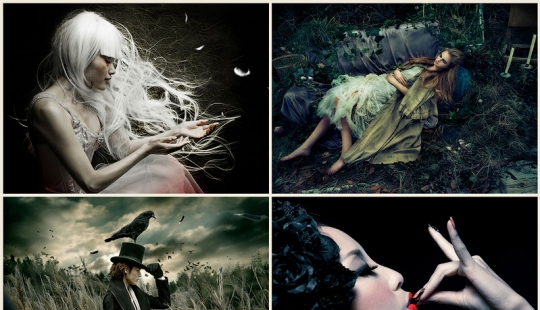 La magia de las Fotos de Shinji Watanabe