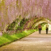 La más emocionante de las avenidas en el planeta, que es sin duda vale la pena un paseo
