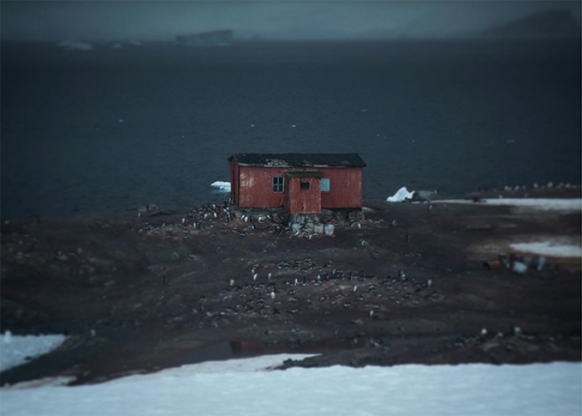 La Otra Antártida: el continente helado como nunca lo has visto