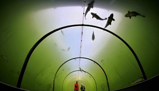 Lago directamente arriba