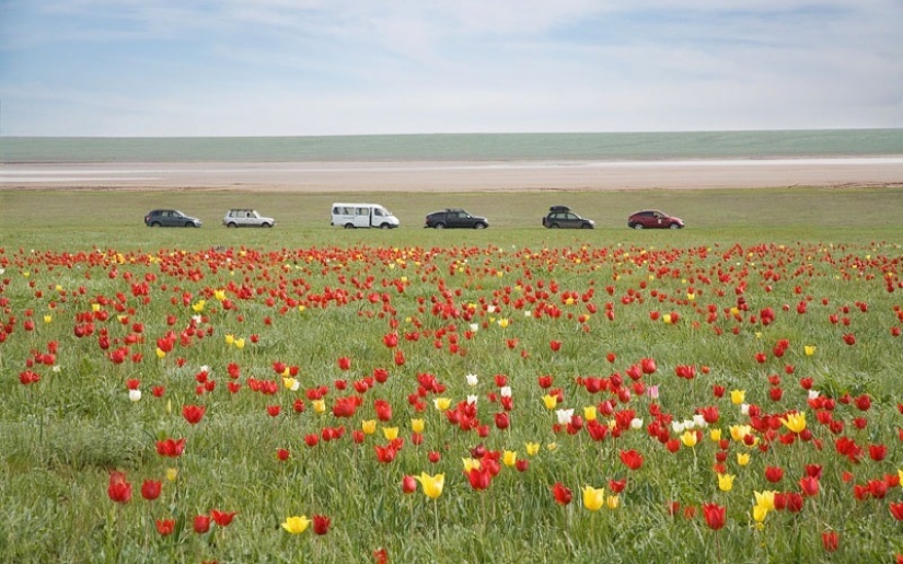 Las 10 carreteras más bonitas de Rusia