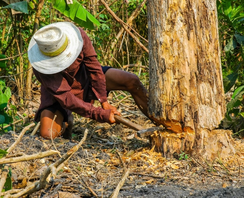 Las 25 enfermedades más extrañas del mundo que los científicos aún no pueden explicar