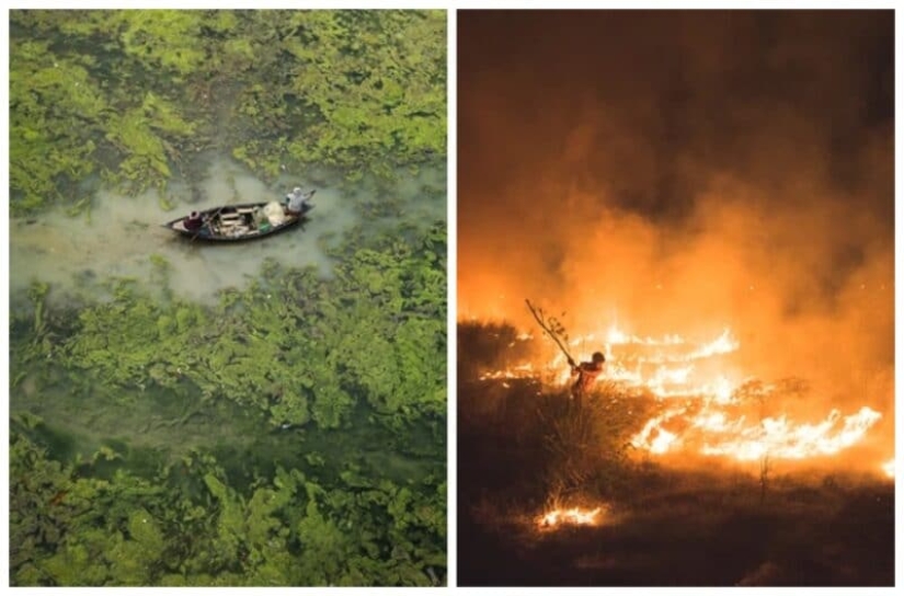 Las mejores eco-fotos del concurso Fotógrafo Ambiental 2021