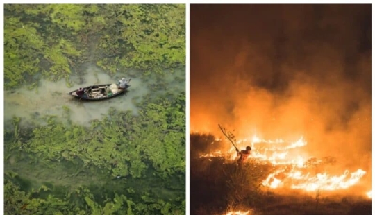 Las mejores eco-fotos del concurso Fotógrafo Ambiental 2021