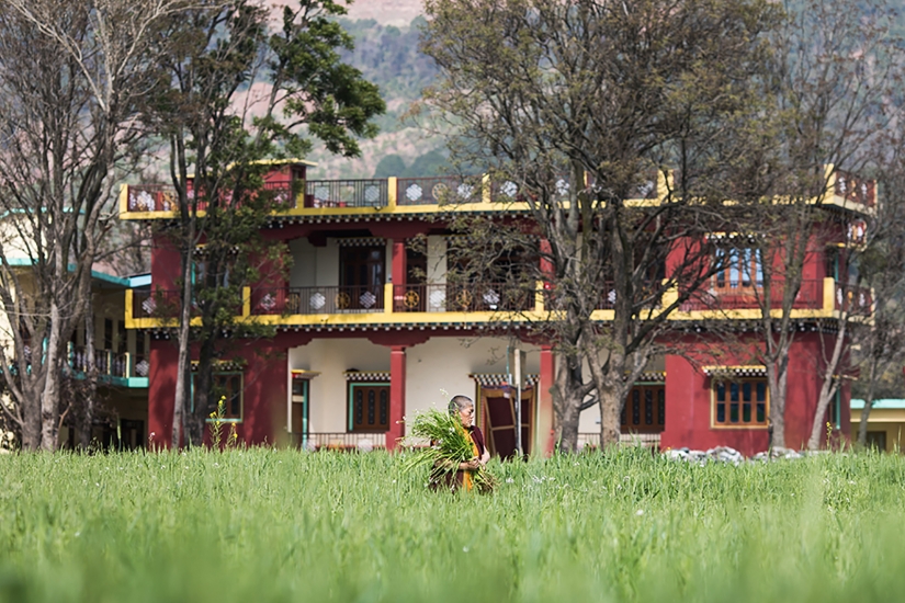 LIFE IN A BUDDHIST MONASTERY TILOPE: PHOTO ESSAY BY ALEXEY TERENTYEV