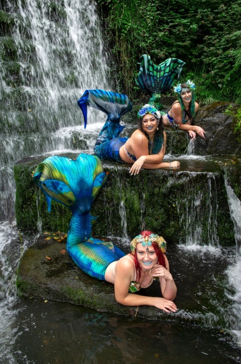 Like a fish in water: professional mermaids returned to aquariums after quarantine