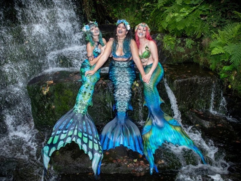 Like a fish in water: professional mermaids returned to aquariums after quarantine