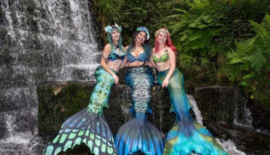Like a fish in water: professional mermaids returned to aquariums after quarantine