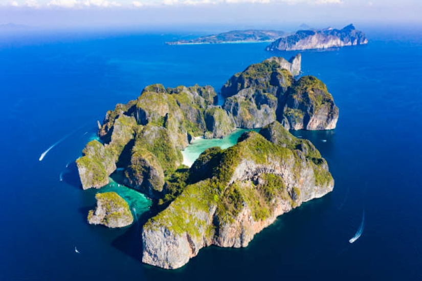 ¡Llévame de vuelta a la playa! Una hermosa cala tailandesa que se hizo famosa por la famosa película protagonizada por Leonardo DiCaprio, reabrirá después de un proyecto de rejuvenecimiento de coral de tres años.
