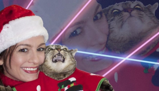 Los animales que odian la Navidad y año Nuevo