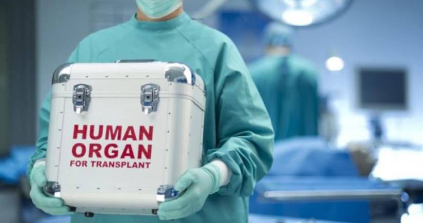 Man of parts: how much is our body, disassembled donor organs