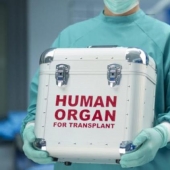 Man of parts: how much is our body, disassembled donor organs