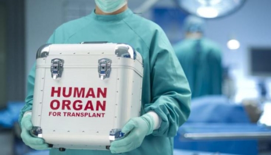 Man of parts: how much is our body, disassembled donor organs Man of parts: how much is our body, disassembled donor organs