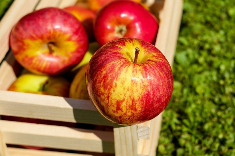 Manzanas rejuvenecedoras: los expertos han nombrado productos que reducen la edad biológica