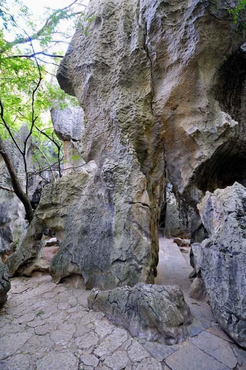 Maravillas del mundo: el bosque de piedra de Shilin, China