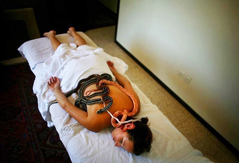 Massage with snakes