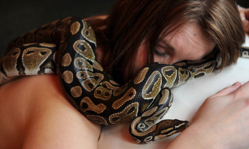 Massage with snakes