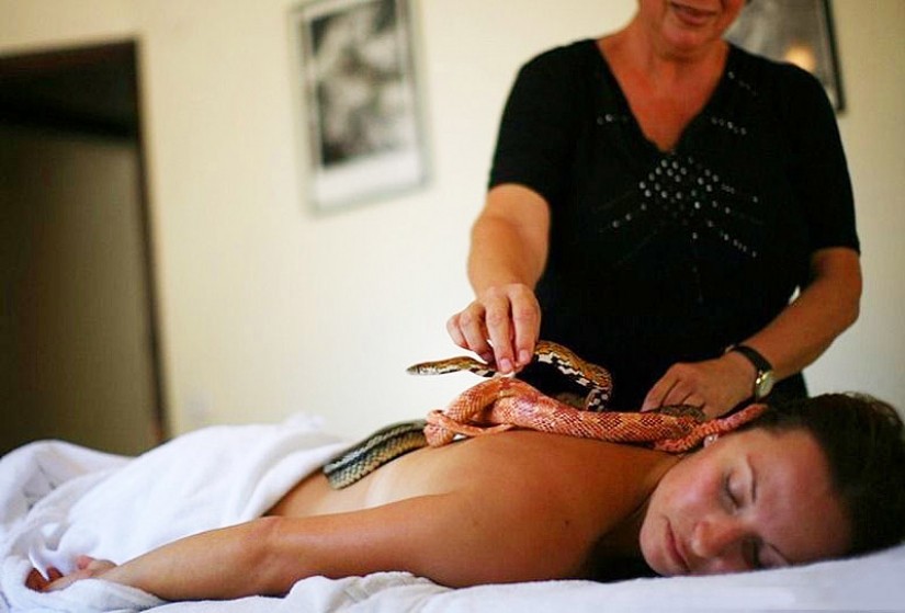 Massage with snakes