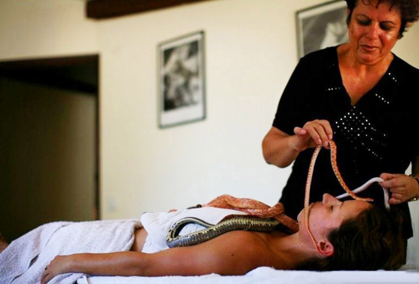 Massage with snakes