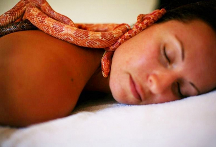 Massage with snakes