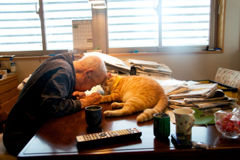 Mujer japonesa trajo a su abuelo de vuelta a la vida dándole un gatito