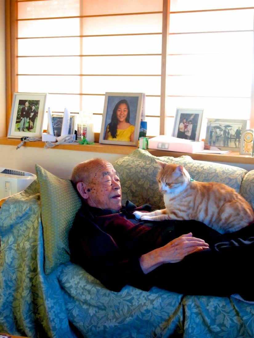 Mujer japonesa trajo a su abuelo de vuelta a la vida dándole un gatito