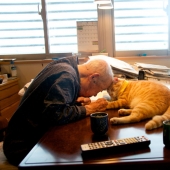 Mujer japonesa trajo a su abuelo de vuelta a la vida dándole un gatito