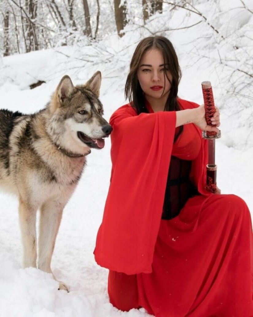 Mujer rusa salvó un pequeño cachorro de lobo y consiguió un amigo leal