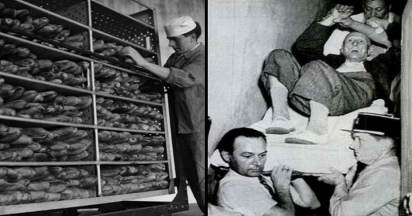 Mystery of the cursed bread: who is to blame, the CIA, Stalin, or ergot?