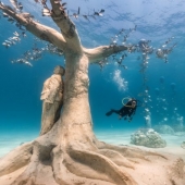 New Cyprus Underwater Sculpture Park in Photos