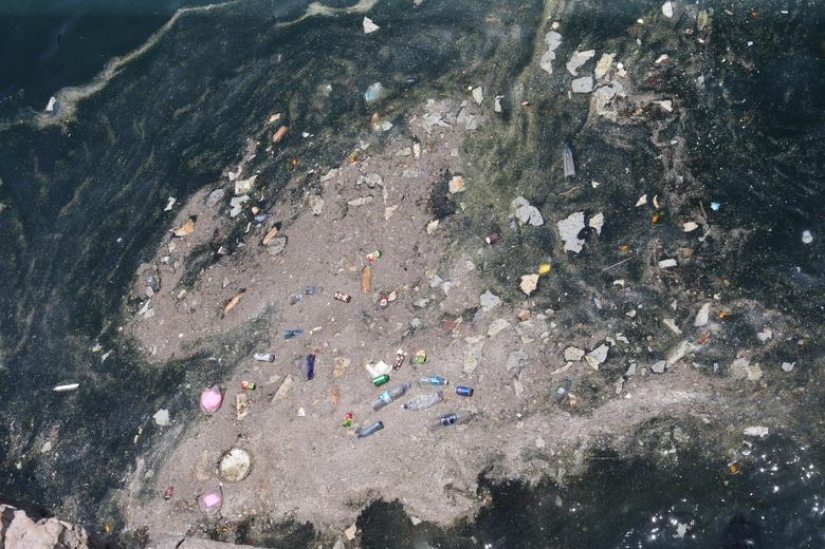 Nuestro océano de plástico