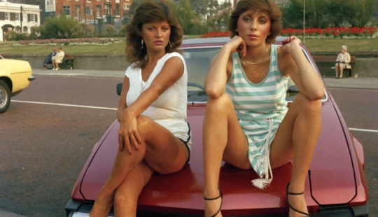 Obras maestras de la arquitectura natural-nidos de pájaros